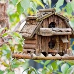 Madárház madár házak saját kezűleg, tervezési ötletek, fotók