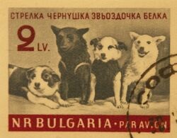 Kutyák a bélyegen