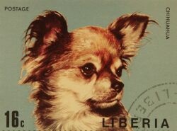 Kutyák a bélyegen