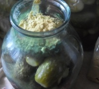 Pickles száraz mustár - egyszerű receptek