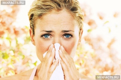 Sorbents allergia felnőtteknél