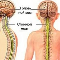 Spinal stroke tüneteinek, a kezelés időtartama és hatásainak