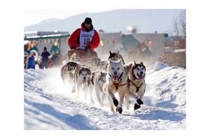 Sport kutyával - állatorvost értesíteni (párja kutya) Sport kutyával - állatorvost értesíteni