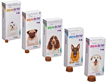 Spray kullancsok ellen kutyák számára áttekintést a legjobb gyártók