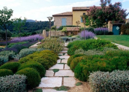 Provence stílus kerttervezés (táj) Provence stílus kerttervezés