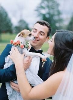 Esküvői fotózás menyasszony és a vőlegény - egy gyengéd és megható egy folyamat, amely