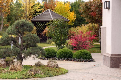 Svetlana Chizhov emberek Landscape Industry (fő) Svetlana Chizhov emberek táj ág