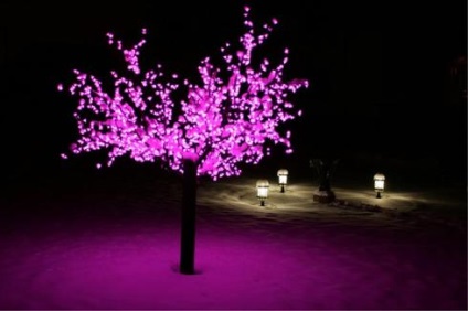 Ragyogó LED-es fák fotó ötletek, videók saját kezűleg