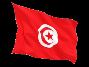 Thalasszoterápia Tunéziában - 2017 árak és az értékeléseket, szállodák Tunézia térképe a thalasso