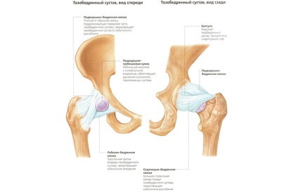 A csípőízület artroszkópiája