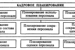 személyzeti menedzsment a szervezet elemeinek HR, személyzeti struktúra