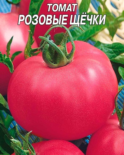 Paradicsom rózsaszín arca leírás jellemzőinek és hogyan növekszik