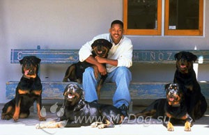 Will Smith és a rottweiler, a helyszínen a kutyák