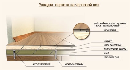 Fektetése padló szóló esztrich technológia, ragasztó, az alapvető szabályok és módszerek