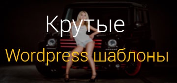 Telepítése Yandex mutatókat WordPress honlap