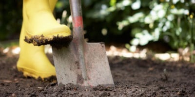 Törődés a talaj leírása szükséges intézkedéseket