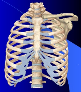 Típusai kiemelkedések dorsalis diffúz, paramedián, foraminalis, körív borda
