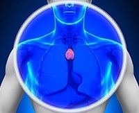 Thymus mi miért felelős, ahol a hormonok és a funkció