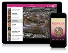 Csúcstechnológia a múzeumok interaktív installációk, érintőképernyők és más könyvtárak (nagy) Csúcstechnológia a múzeumok interaktív installációk, érintőképernyők és más könyvtárak
