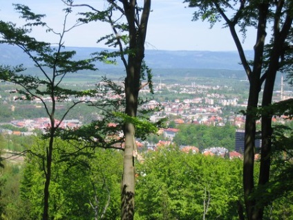 Vitalife - az egész város egy pillanat alatt! (Vitalife) Vitalife - az egész város egy pillanat alatt!