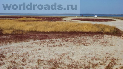 Vityazevsky torkolat - gyógyító tó Vityazevo, a világ útjain