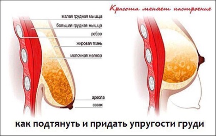 Milyen ételek tartalmaznak az oxitocin hormon