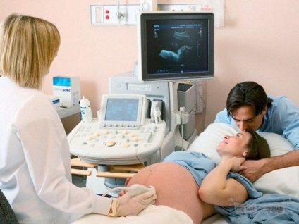 Vajon ultrahang hibák lehetségesek, amikor meghatározzák a gyermek neme