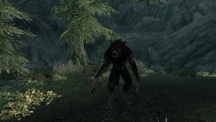 Lehetőségek Skyrim vérfarkas (Skyrim) Lehetőségek Skyrim vérfarkas