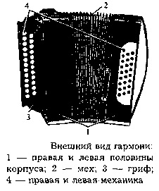 Reed (nád) nád
