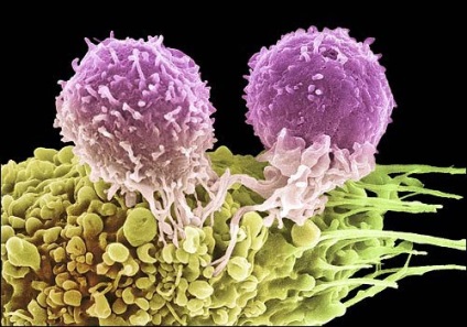 A telek a rák rák kezelésére imák