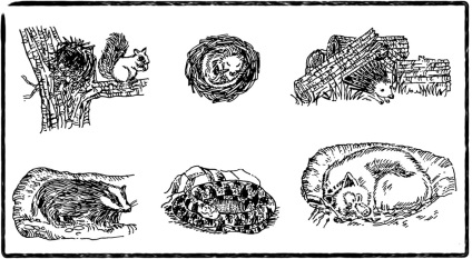 Állatok hibernált télen (alvó) Állatok hibernált télen