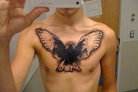 Jelentése tetoválás „Dove”
