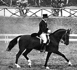 Híres ló - abszint, a fia és unokái (Tisztelet Master of Sport) Híres ló - abszint, a fia és unokái