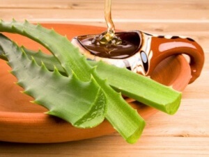 Aloe mézzel köhögés legjobb receptek, főzés, különösen a felszerelések használata