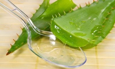 Aloe mézzel köhögés recepteket, és hogyan kell elkészíteni a gyógyszert