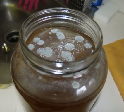Kombucha - fotók (tea) Kombucha - fotó