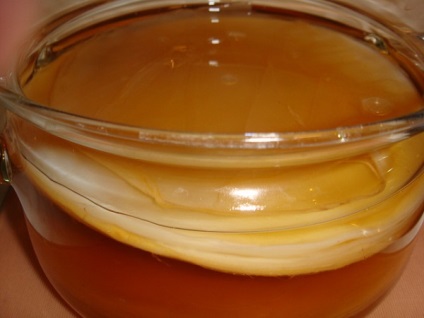 Kombucha - fotók (tea) Kombucha - fotó