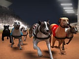 Game Dog Race - játék online ingyen