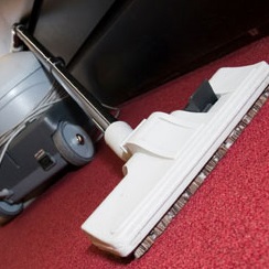 Hogyan tisztítsa meg a szőnyegen, tiszta otthon, hogyan