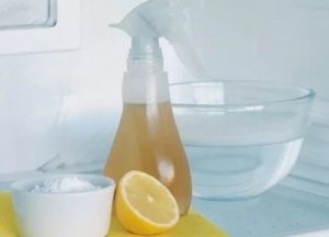 Hogyan lehet megszabadulni a kellemetlen szagokat a hűtőben