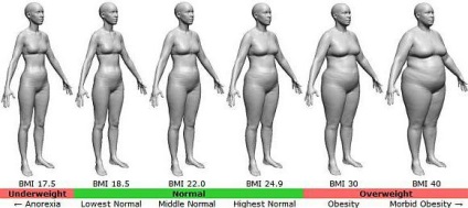 Hogyan határozzák meg az elhízás a nőknél