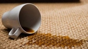 Hogyan tisztítsa meg a szőnyeget otthon