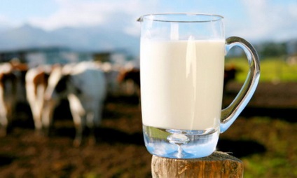 Főzni, hogyan lehet egy cappuccino kávéfőző, tej jobb felkészülés és hogyan kell főzni