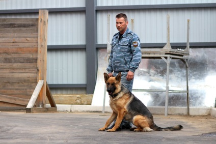 Canine Sergey Rogozin „kutya nem tud megoldani egy bűncselekményt mester nélkül