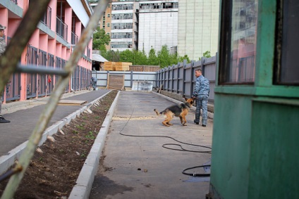 Canine Sergey Rogozin „kutya nem tud megoldani egy bűncselekményt mester nélkül