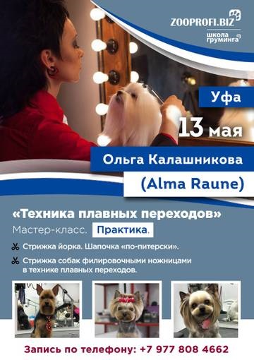 Mesterkurzusok az ápolás a kutyák és macskák Olga Kalashnikova Ufa!