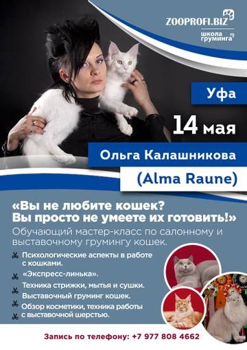 Mesterkurzusok az ápolás a kutyák és macskák Olga Kalashnikova Ufa!