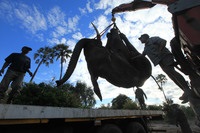 Jellemzői kíváncsiskodó szállítás elefánt 13 képkocka