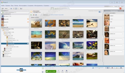 Picasa - program képnézegetés vagy hogyan lehet megtalálni egy fotót a személy