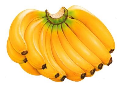 Előnyök és árt a banán, a világ anélkül, hogy kárt